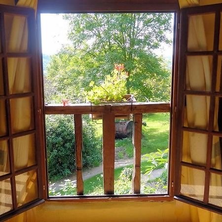 Bed and Breakfast La Boursaie Livarot-Pays-d'Auge Екстер'єр фото